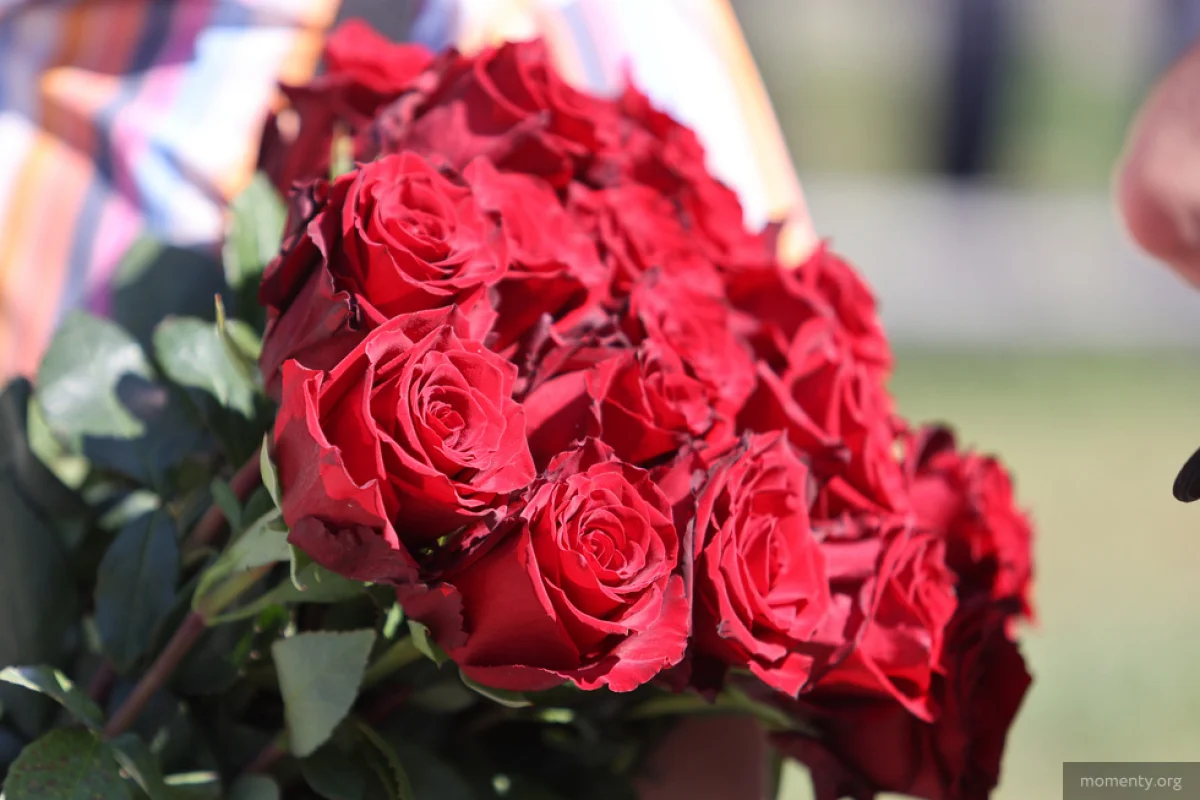 Фото momenty.org