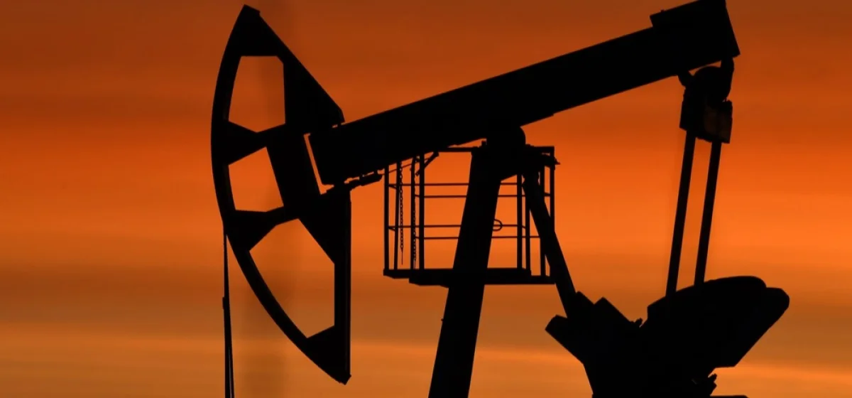 Фото: © РИА Новости