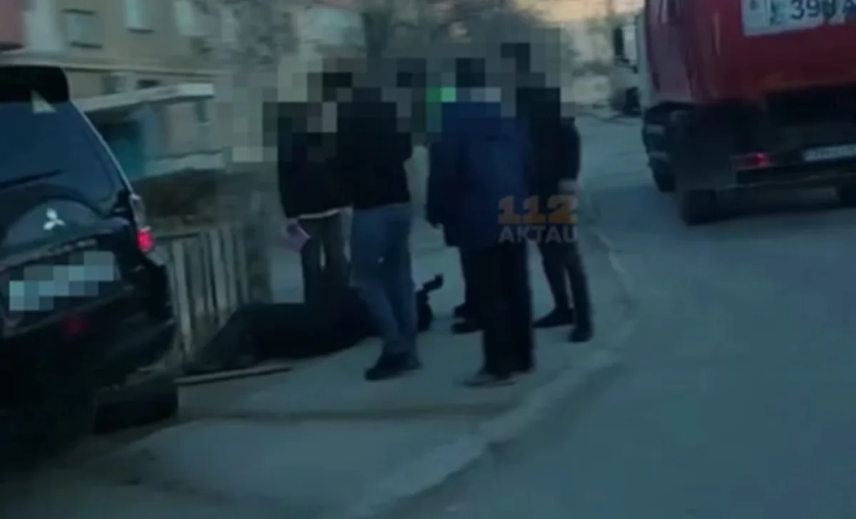 Фото: кадр из видео