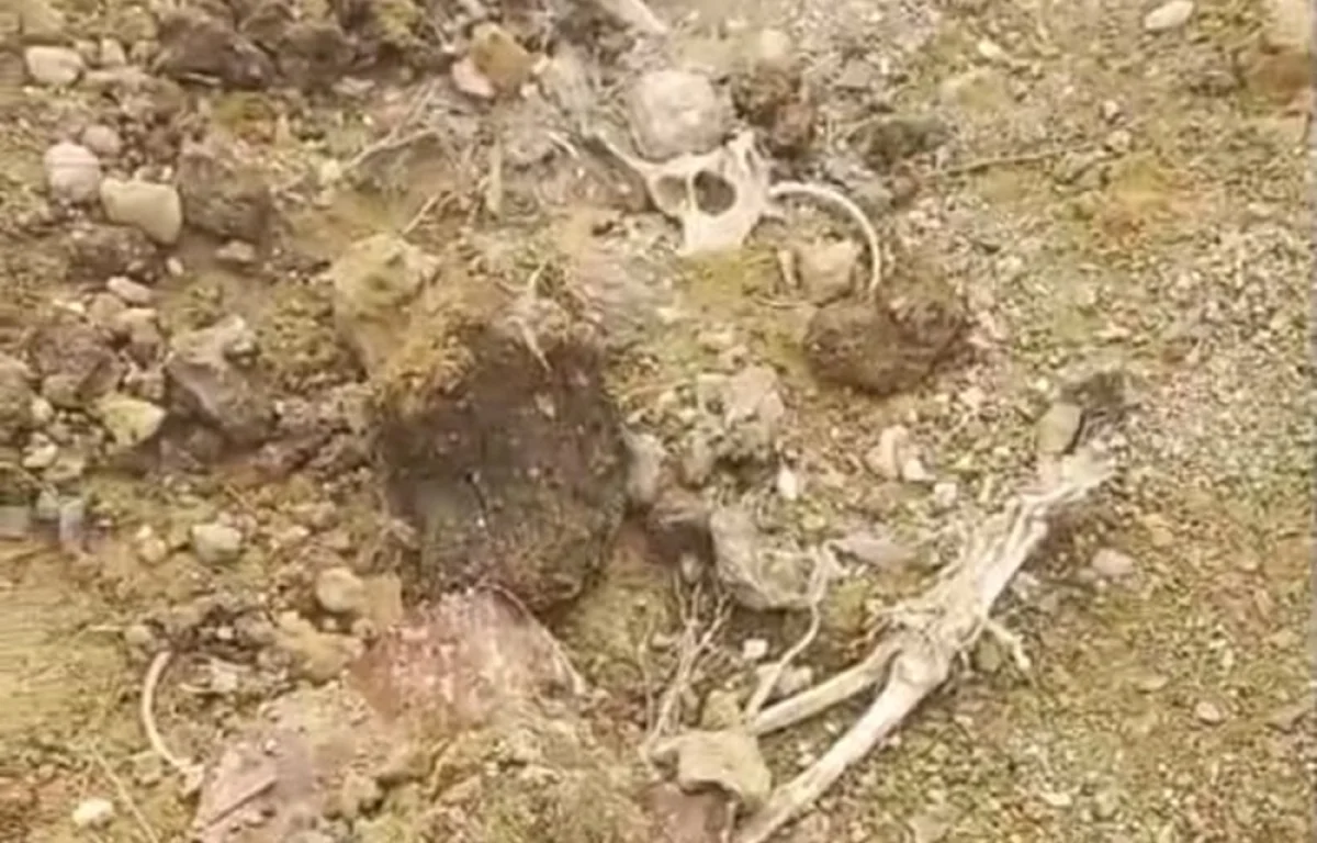 Кадр из видео