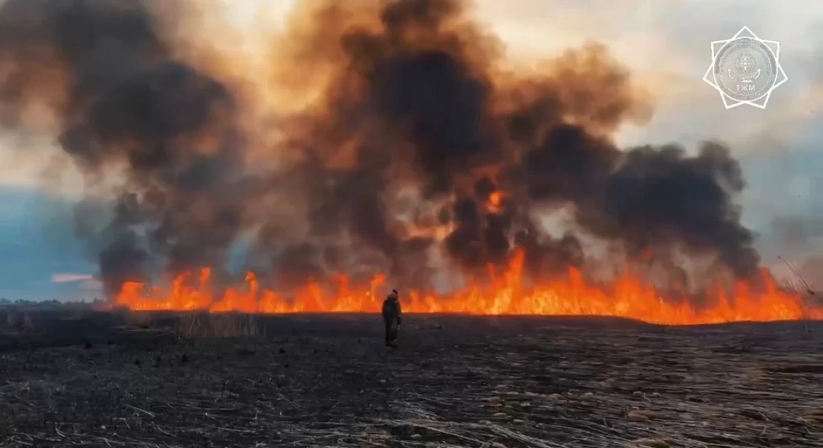 Кадр из видео