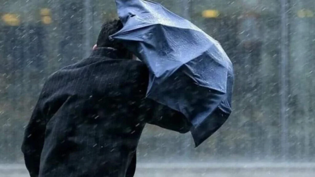 фото с сайта baltija.eu