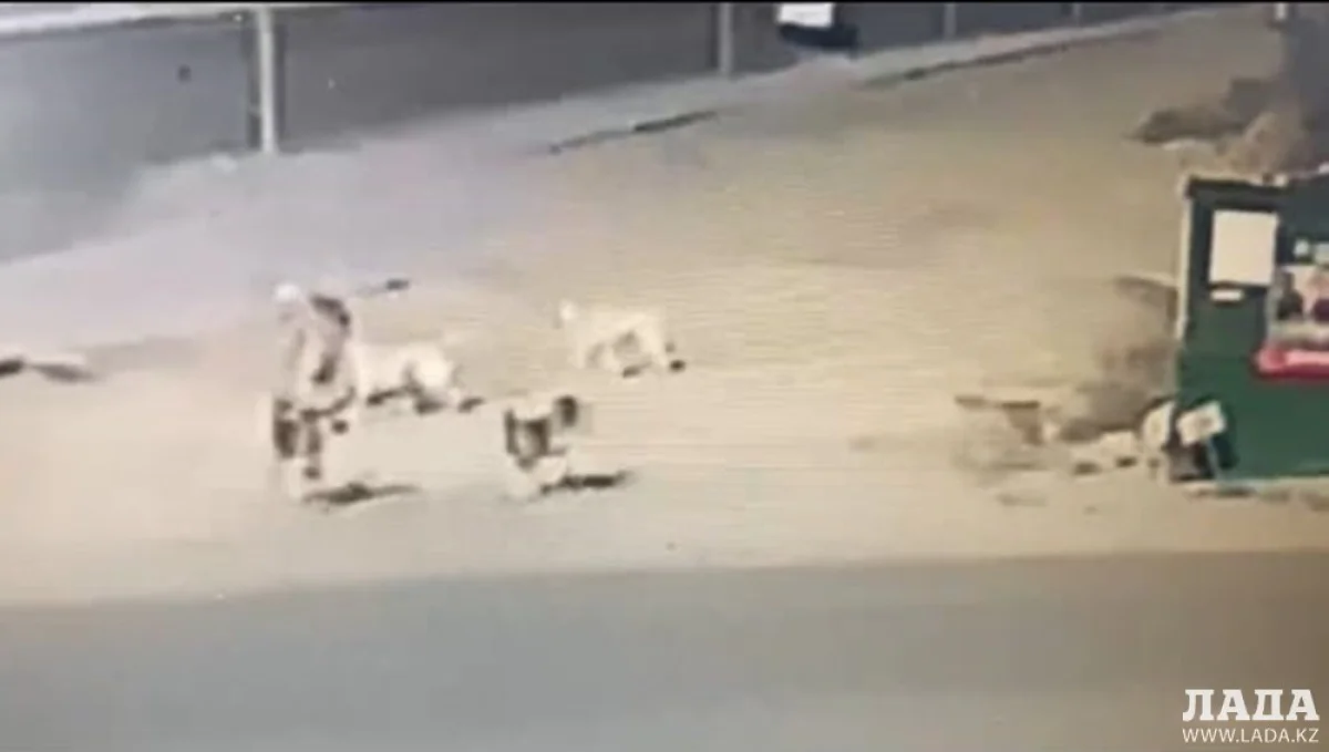 стоп кадр из видео