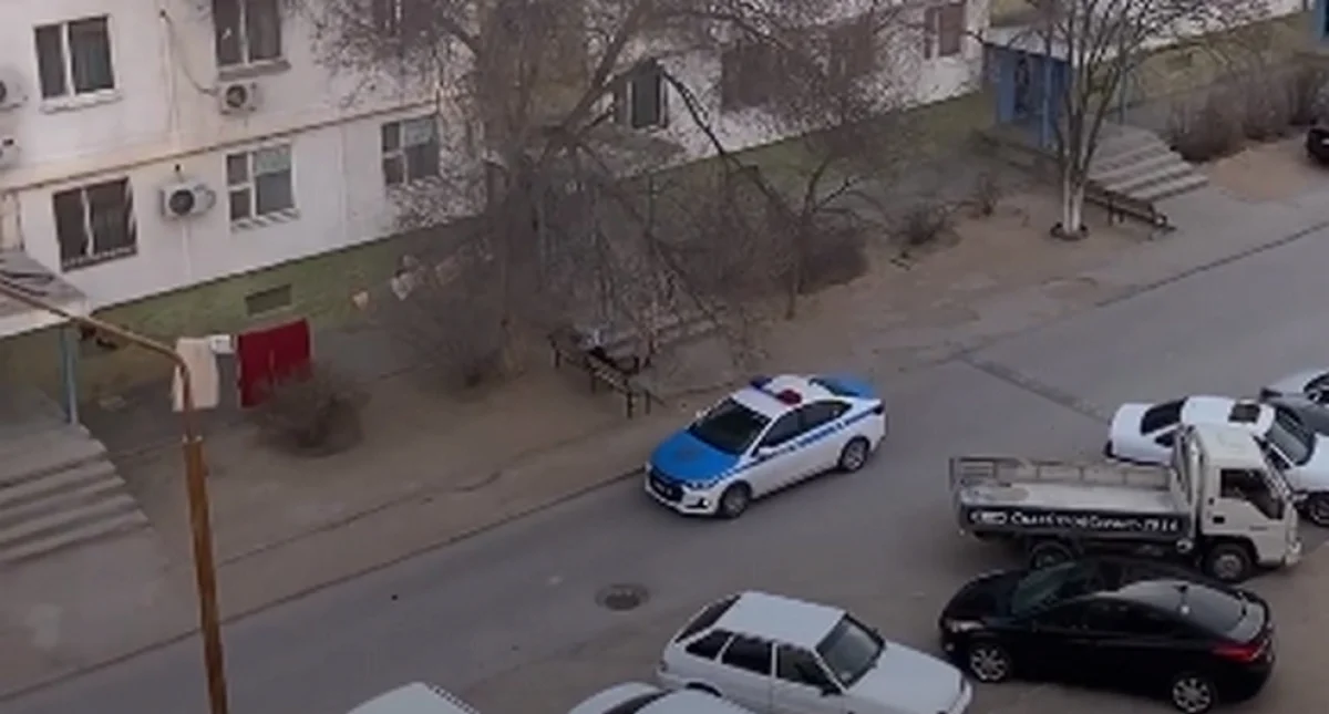 Фото: кадр из видео