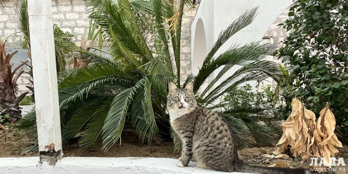 Фото автора