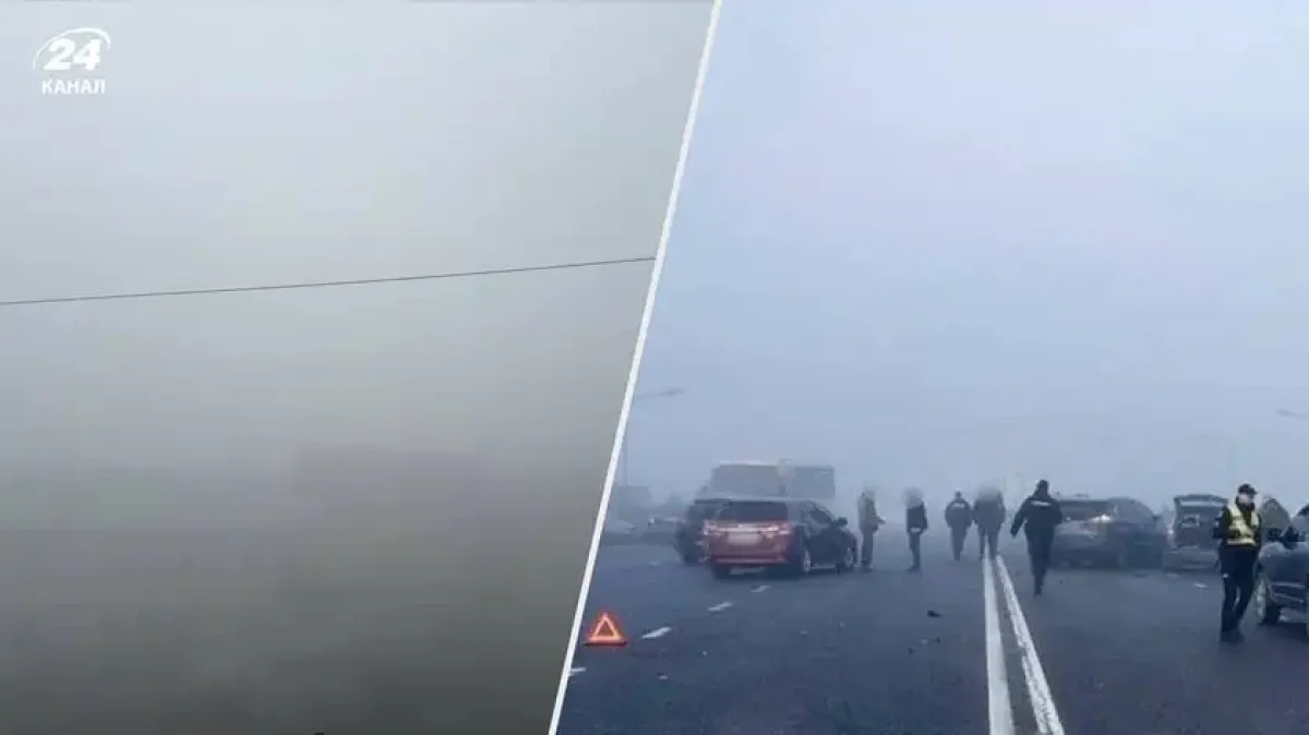 кадры из видео