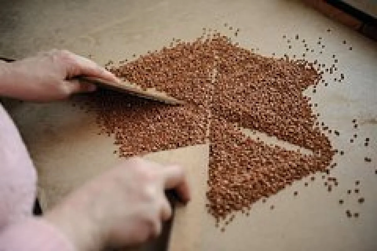 Фото: Влад Некрасов / Коммерсантъ