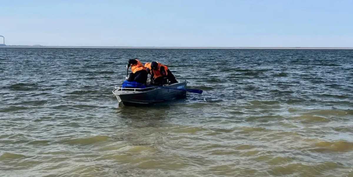 Фото пресс-службы ДЧС Павлодарской области