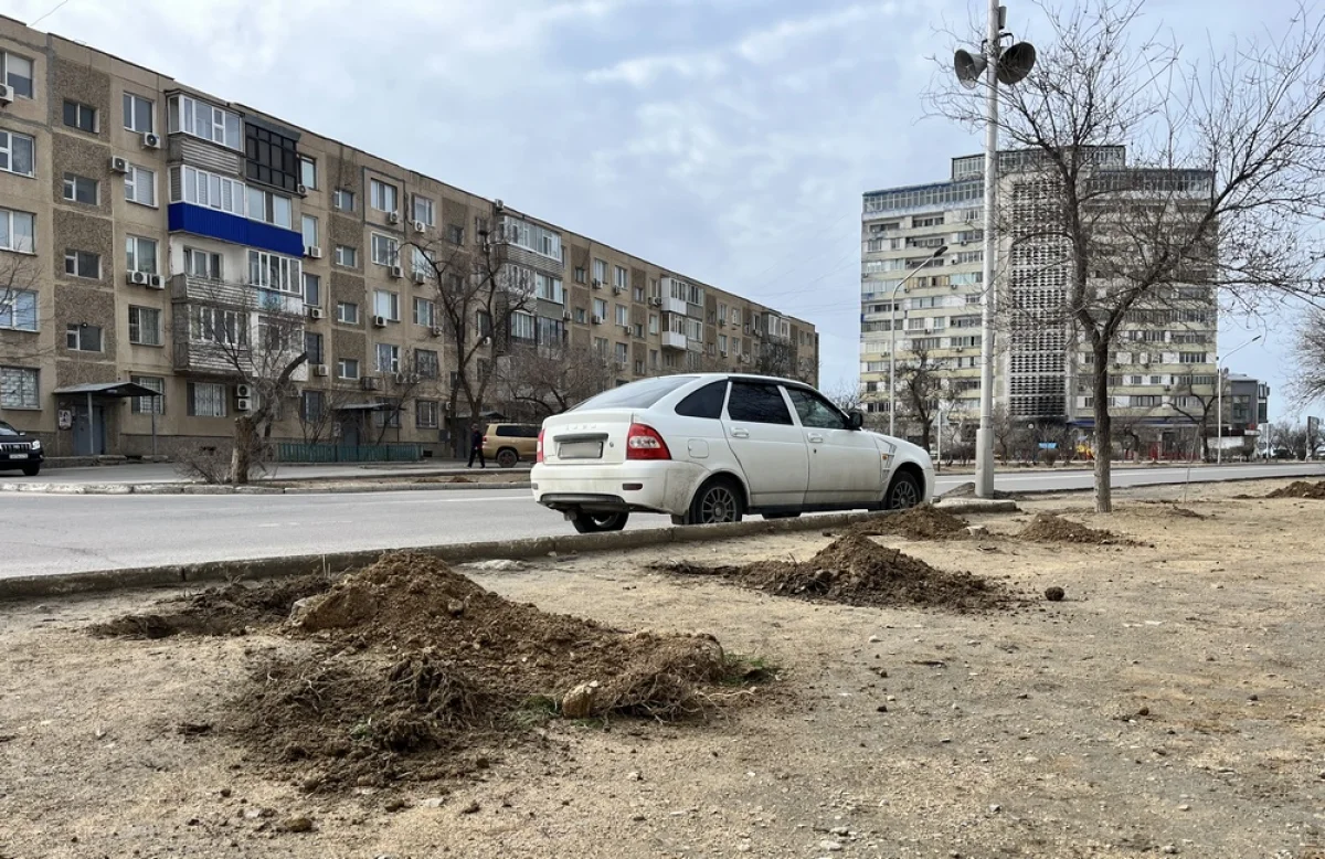 На месте запланированного остановочного пункта распокали посадочные ямки. Фото Lada.kz