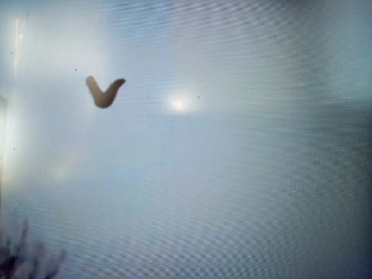 кадр из видео