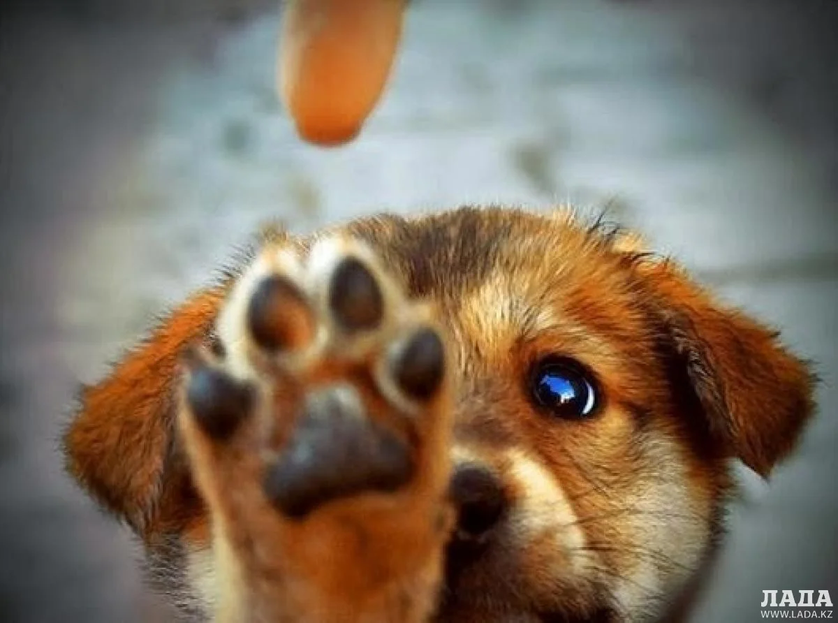 Иллюстративное фото