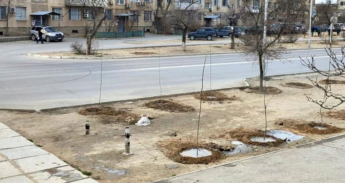 Фото жителей дома №3 в 7 микрорайоне