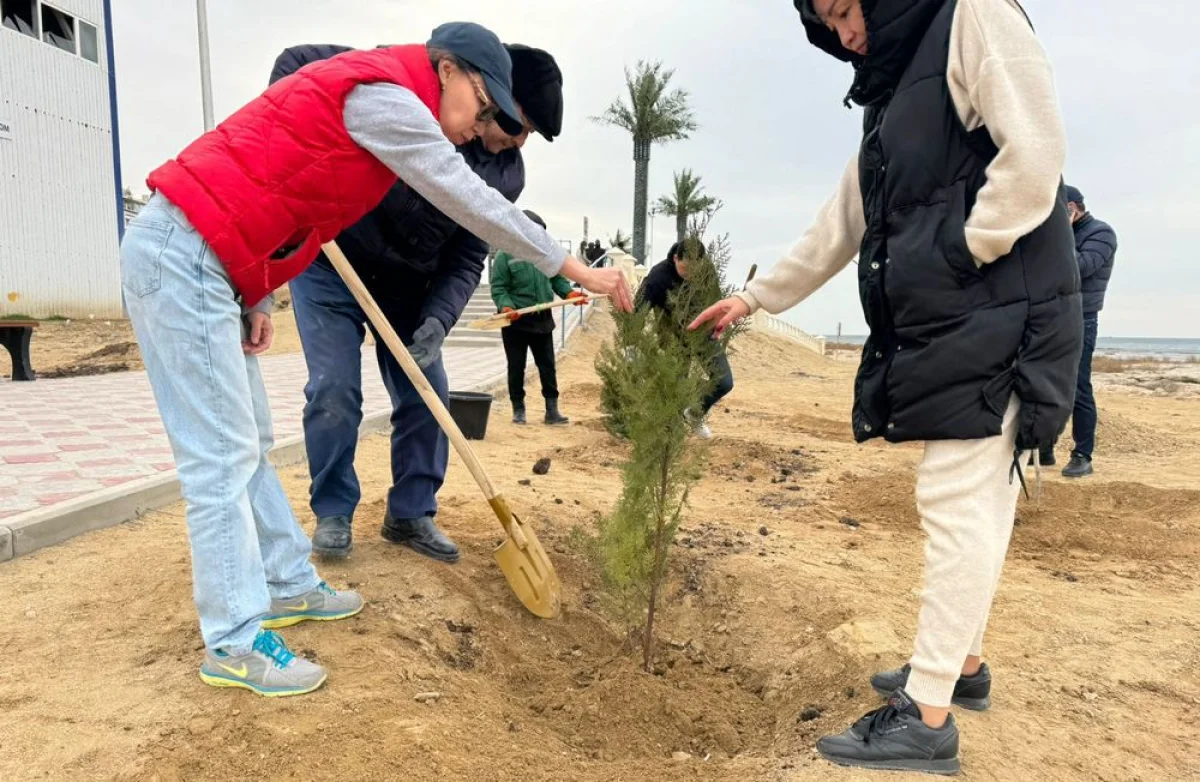 Фото предоставили в городском акимате
