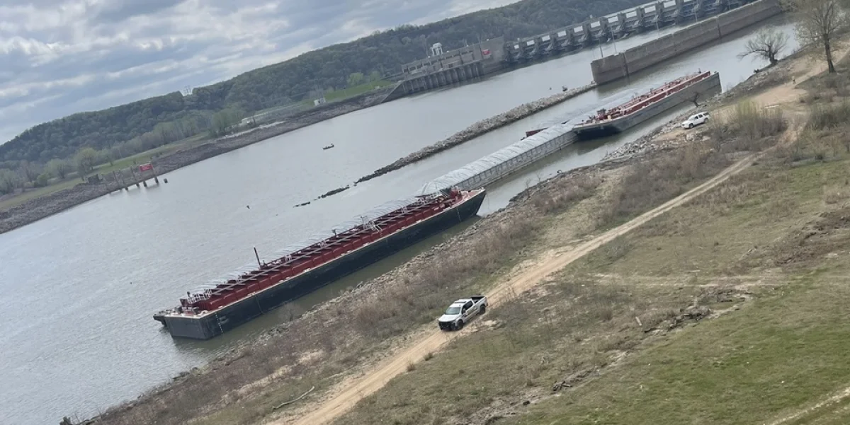 Фото: Twitter.com/OHPDPS/