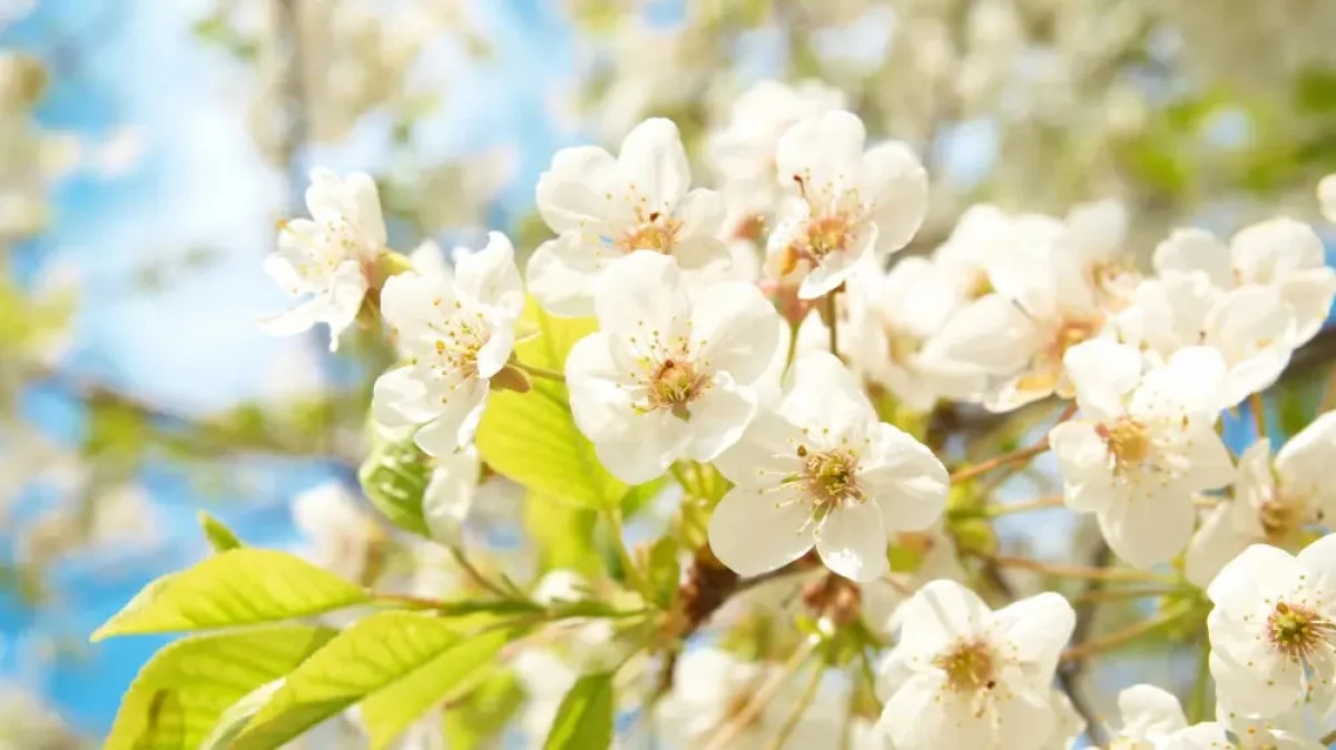 Фото: depositphotos.com