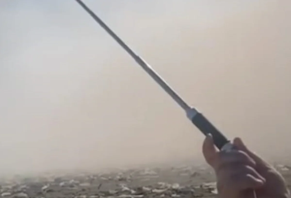 стоп кадр из видео