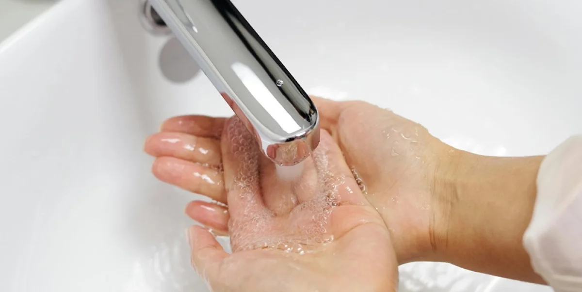 Фото: pexels.com