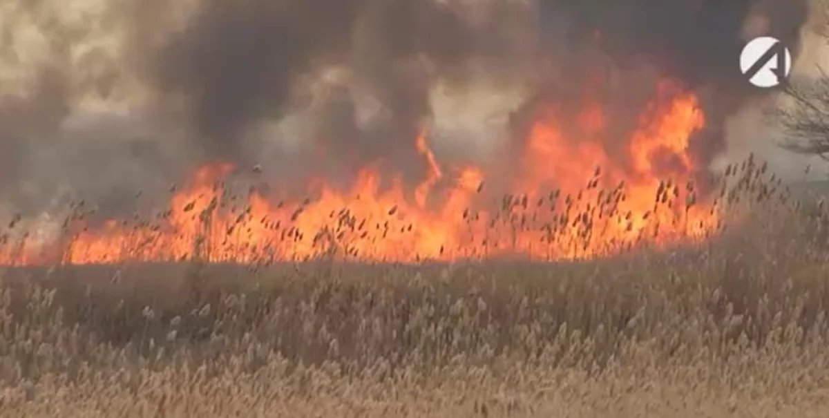 Фото: Астрахань 24