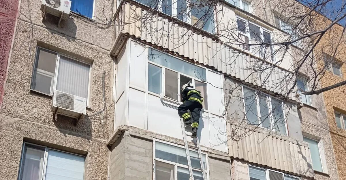 Фото пресс-службы ведомства