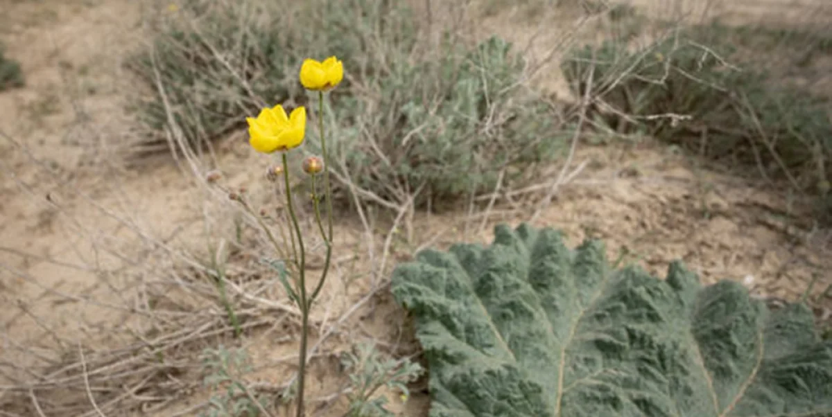 Фото Руслана Чурова