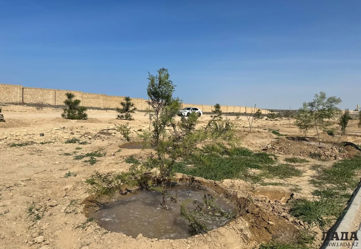 фото пресс-службы акимата Актау