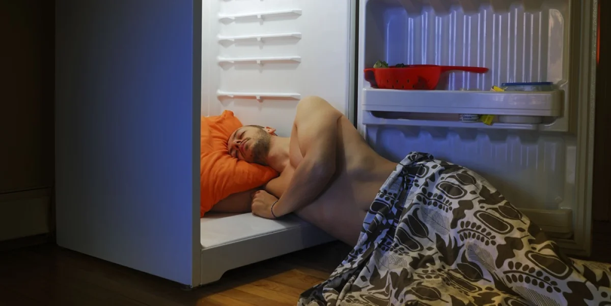 фото с сайта hips.hearstapps.com