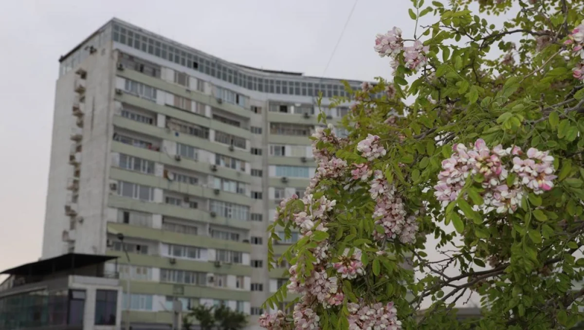 фото с сайта gov.kz