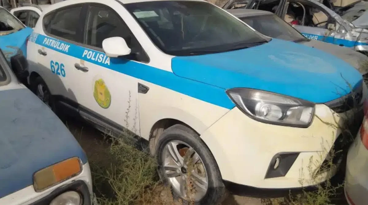 Фото с сайта