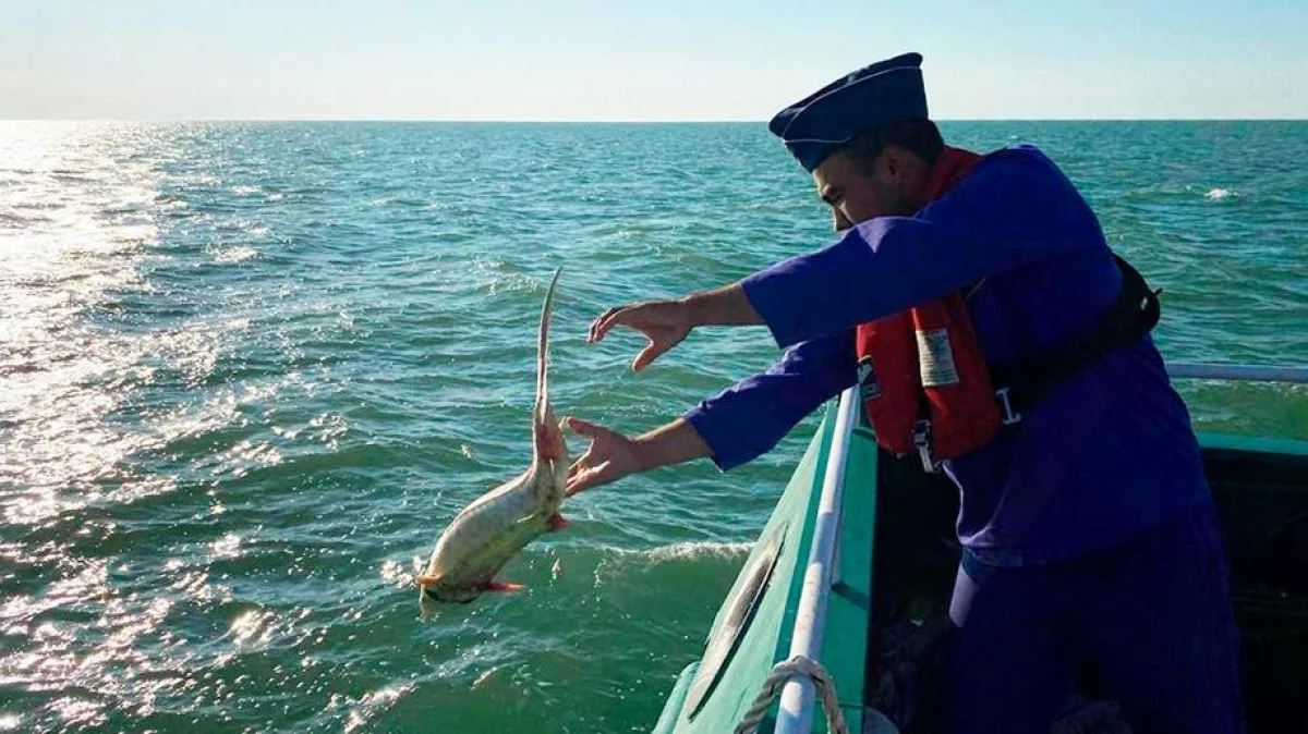 Фото пограничной службы КНБ РК