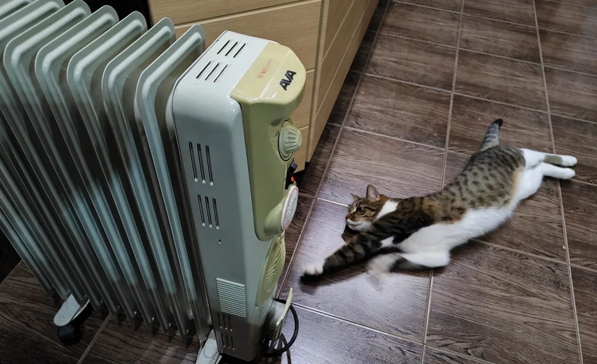 фото из архива Lada.kz