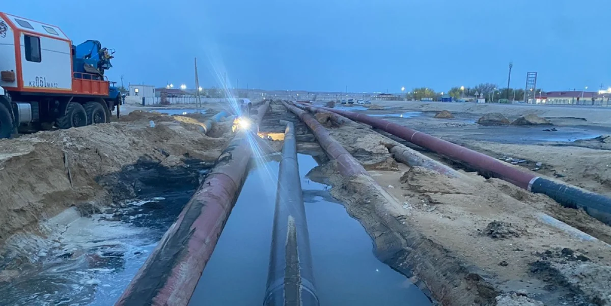 Фото: департамент экологии Мангистауской области