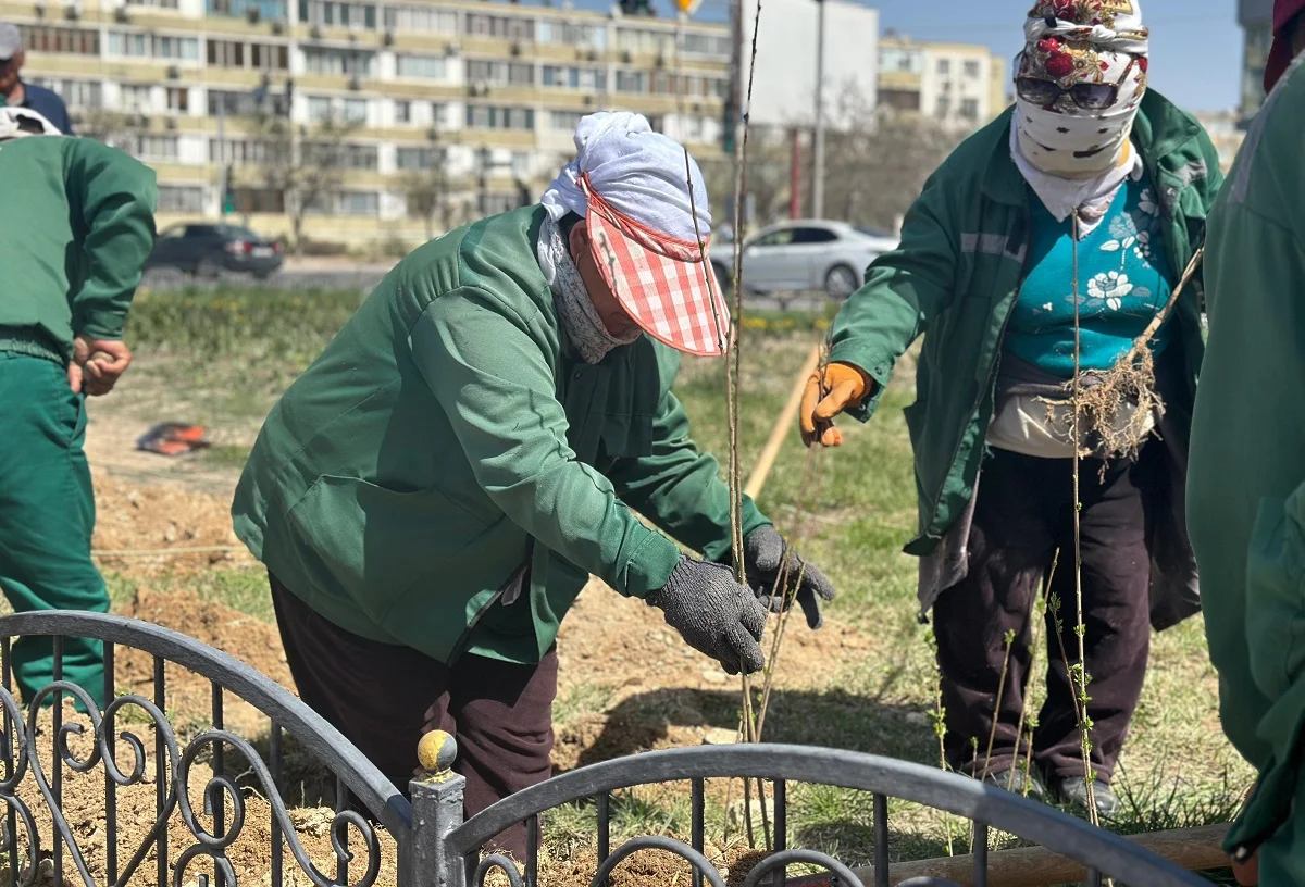 фото центра общественных коммуникаций