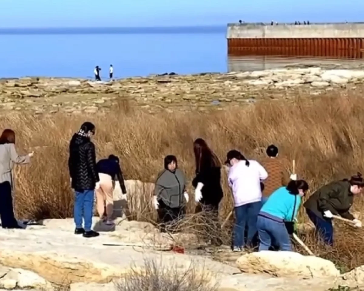 Кадр из видео