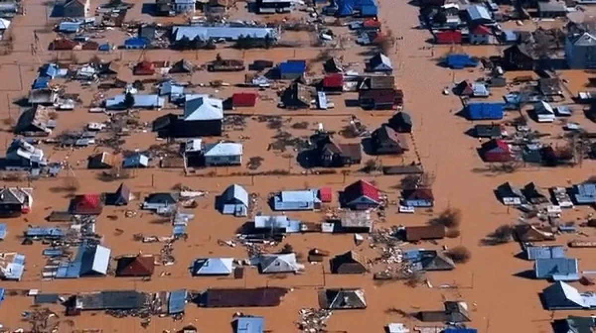 кадр из видео