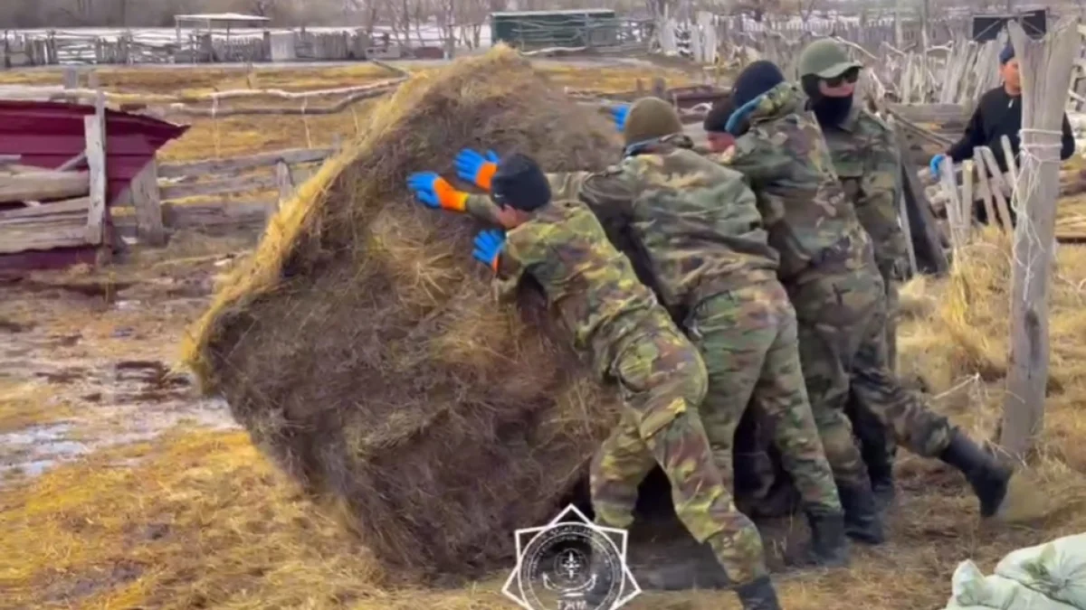 Фото: кадр из видео ДЧС Мангистауской области