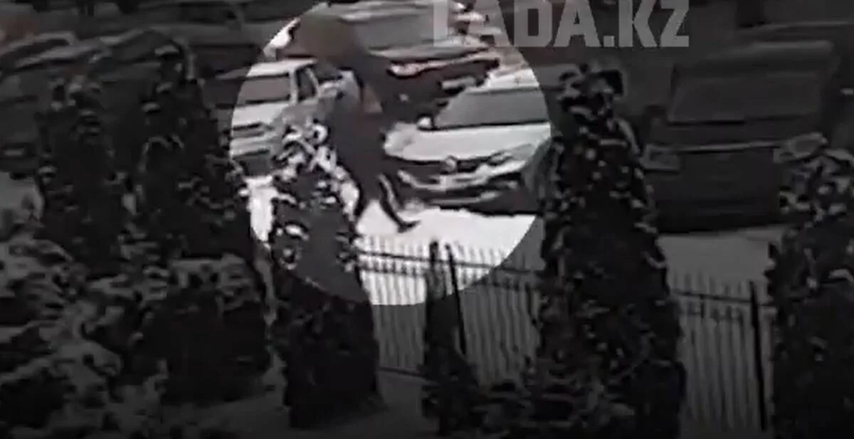 Фото: кадр из видео