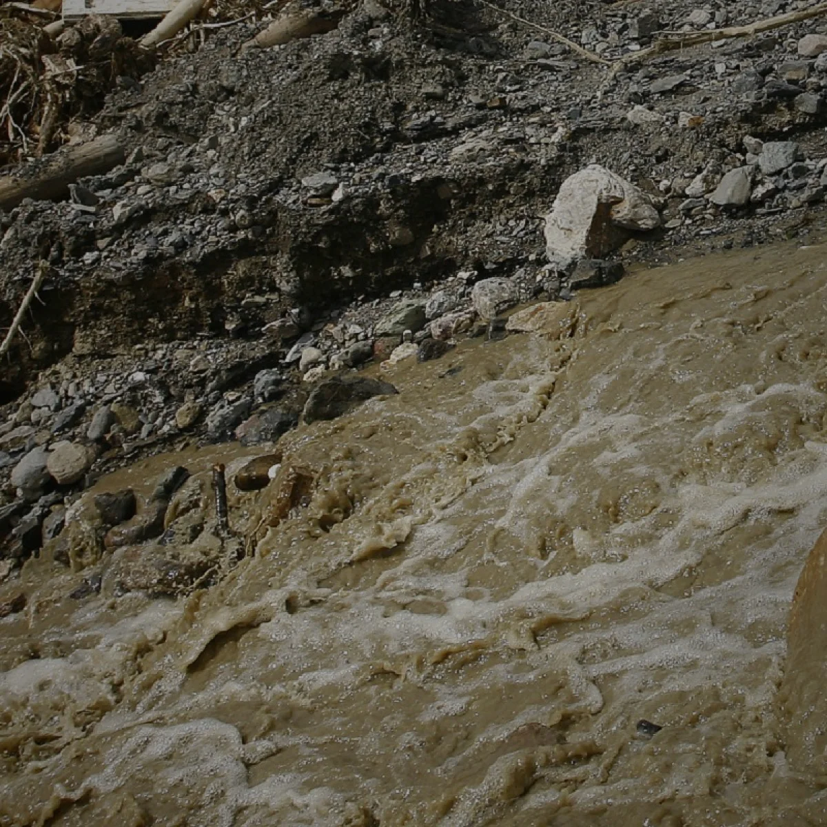 20 миллиардов тенге направят на помощь пострадавшим от паводков Вячеслав Ким и Михаил Ломтадзе