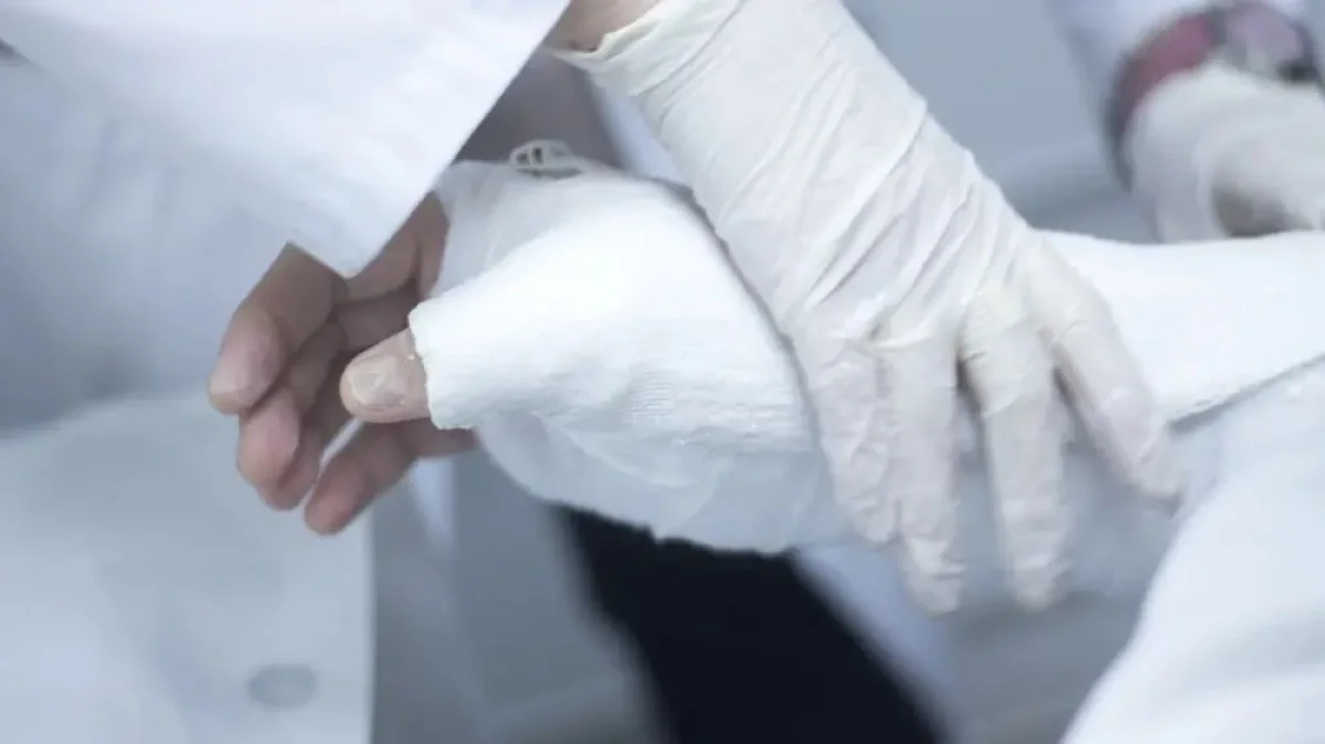 Фото из открытых источников