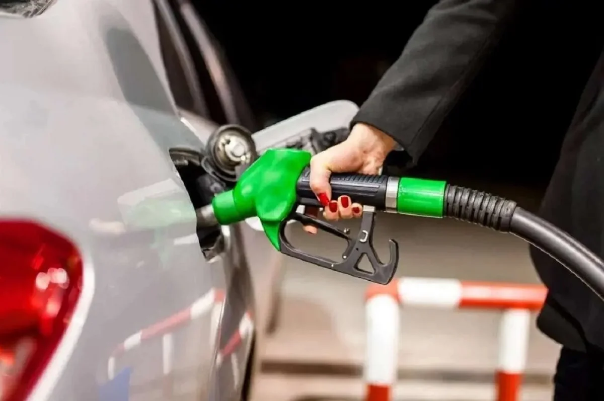 Фото с сайта elorda.info