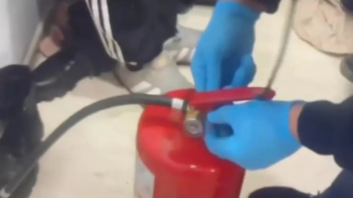 кадр из видео