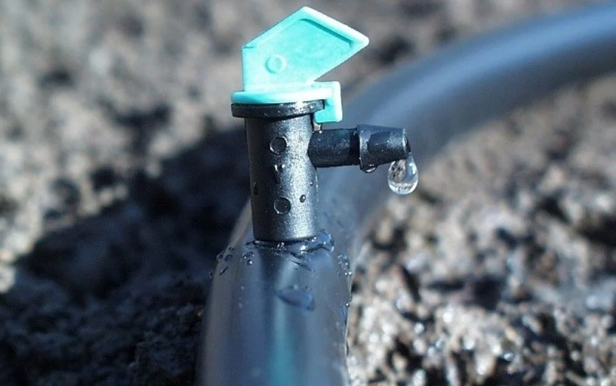 Фото с сайта minifermer.ru