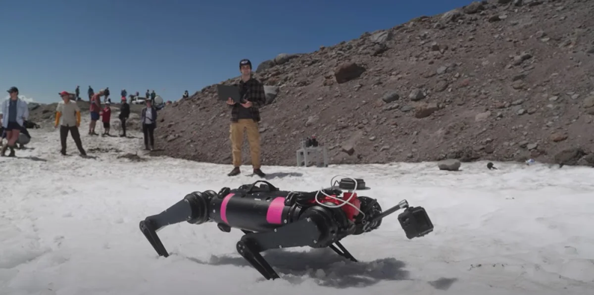 Фото: кадр из видео