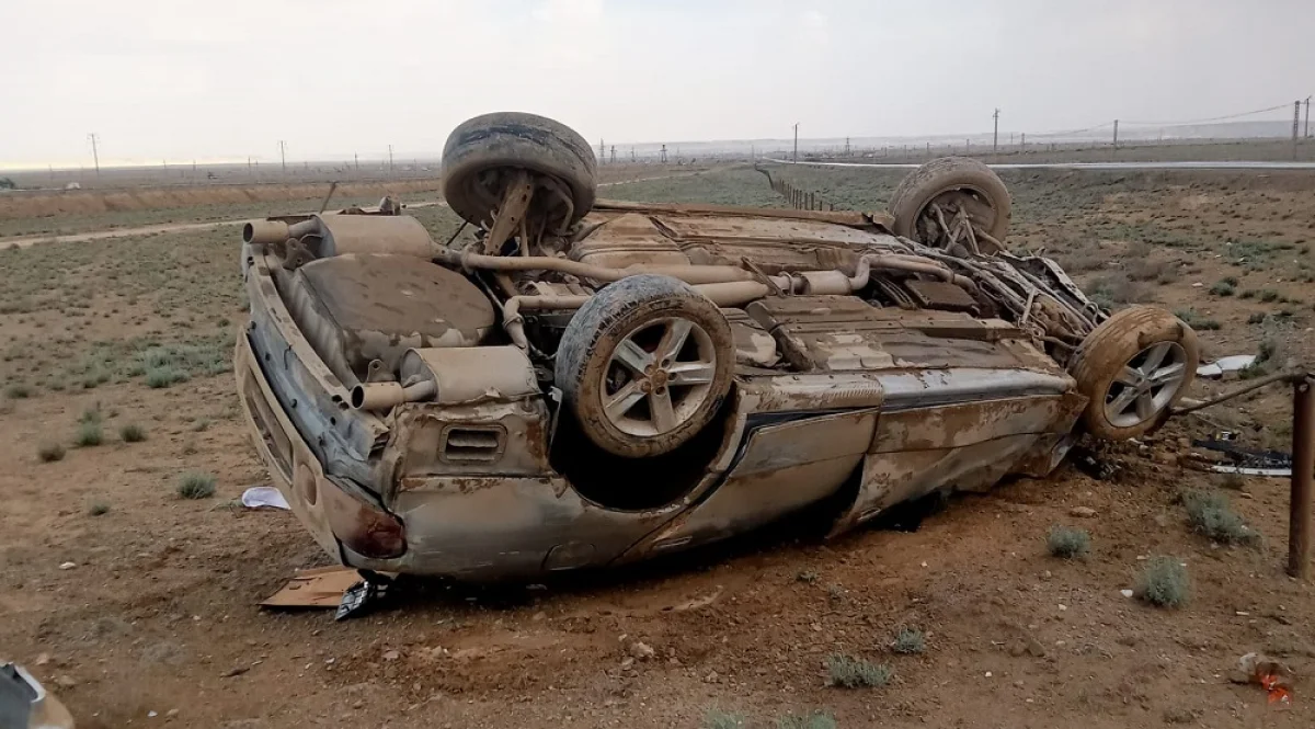 Фото из социальных сетей