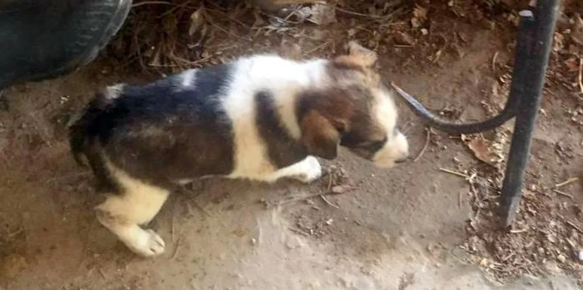 Фото пресс-службы ведомства