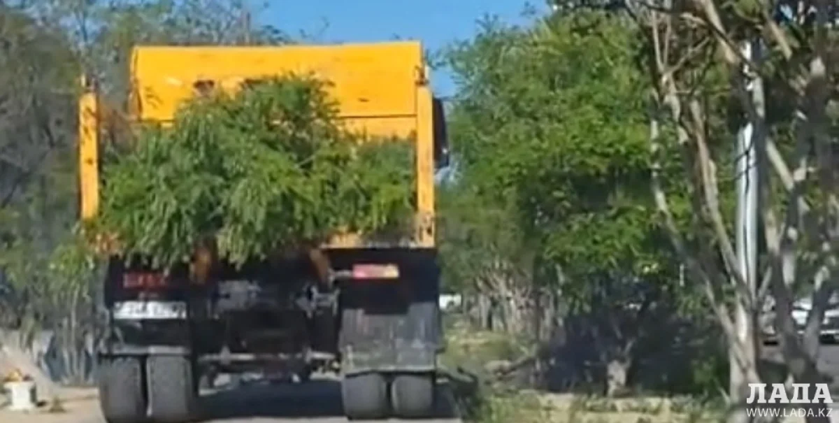 Фото: кадр из видео