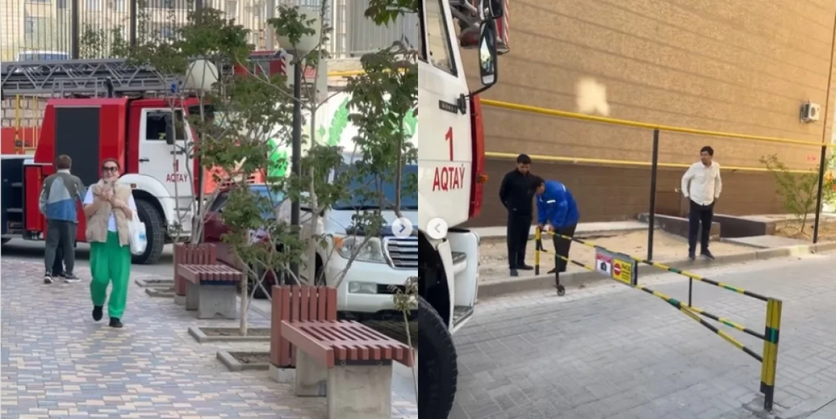 Фото: кадры из видео