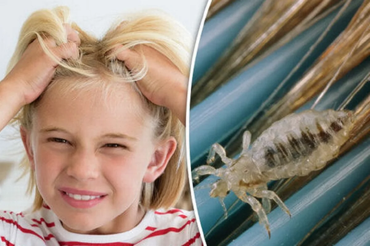 фото с сайта lifepvl.kz