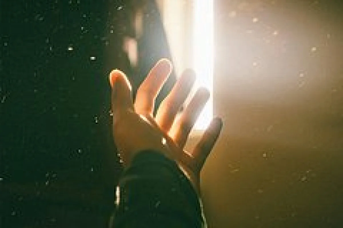 Фото: Dyu - Ha / Unsplash