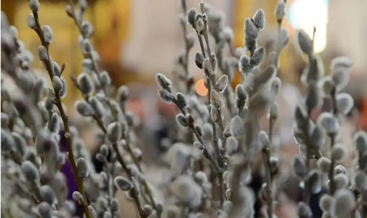 Фото: mitropolia.kz