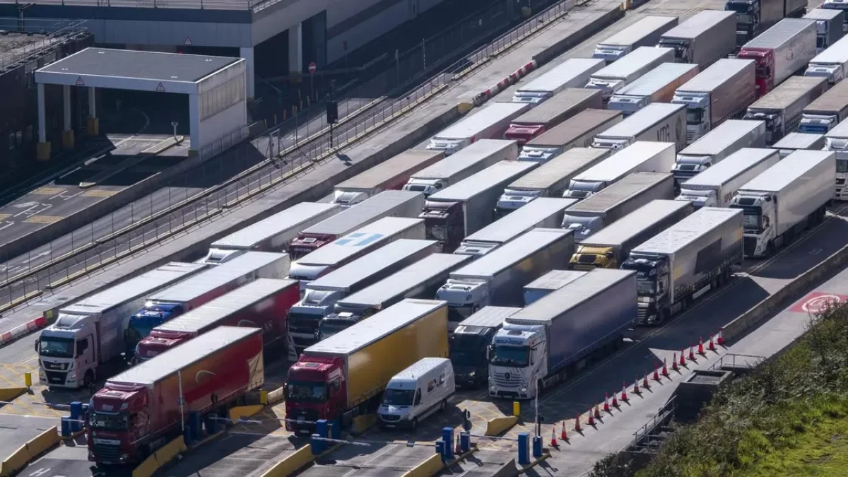 Фото: John Lamb/Getty Images